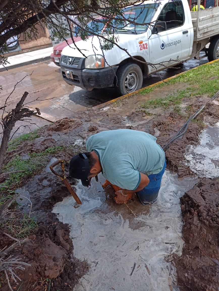 Interapas repara importante fuga provocada por raíces de árboles en la colonia “Del Valle”.
